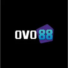 OVO88 - Permainan Santai yang Mengasyikkan